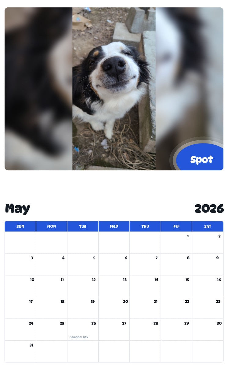 2026 - 2027 Spot - Pawidols Pet Calendar