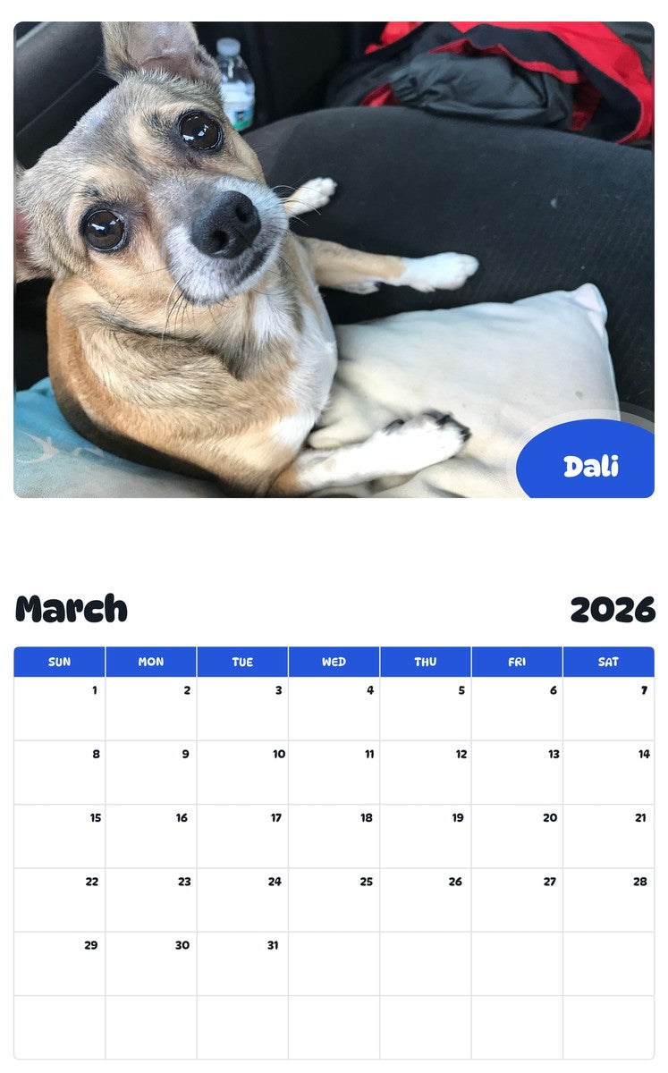 November 2025 - October 2026 Dali - Pawidols Pet Calendar