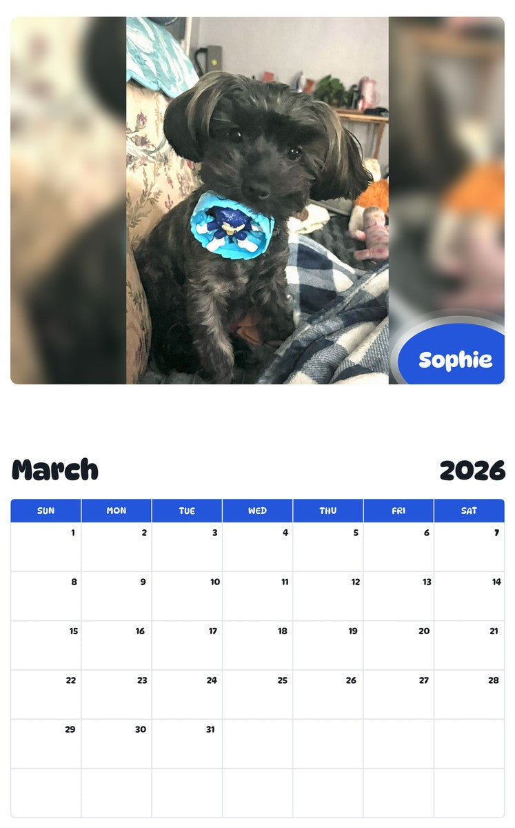 November 2025 - October 2026 Sophie - Pawidols Pet Calendar