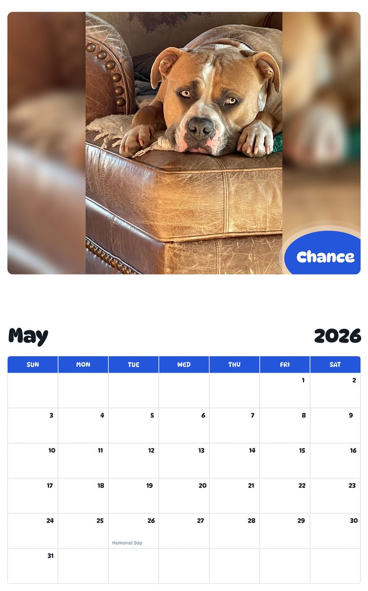 2026 - 2027 Chance - Pawidols Pet Calendar
