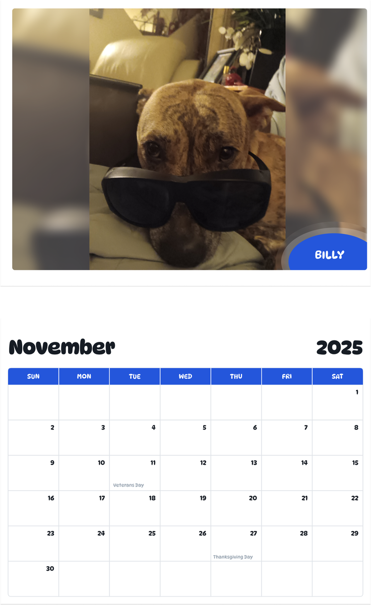 July 2025 - June 2026 Billy - Pawidols Pet Calendar