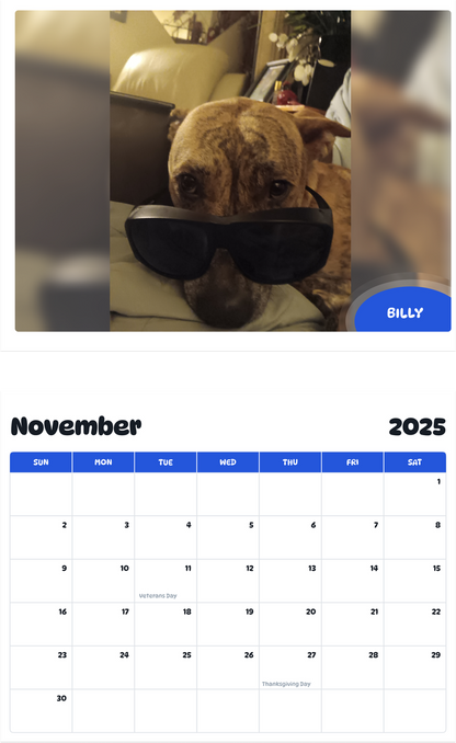 July 2025 - June 2026 Billy - Pawidols Pet Calendar