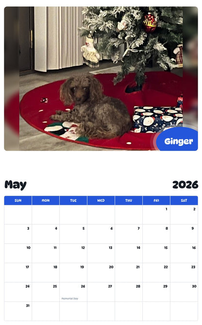 2026 - 2027 Ginger - Pawidols Pet Calendar