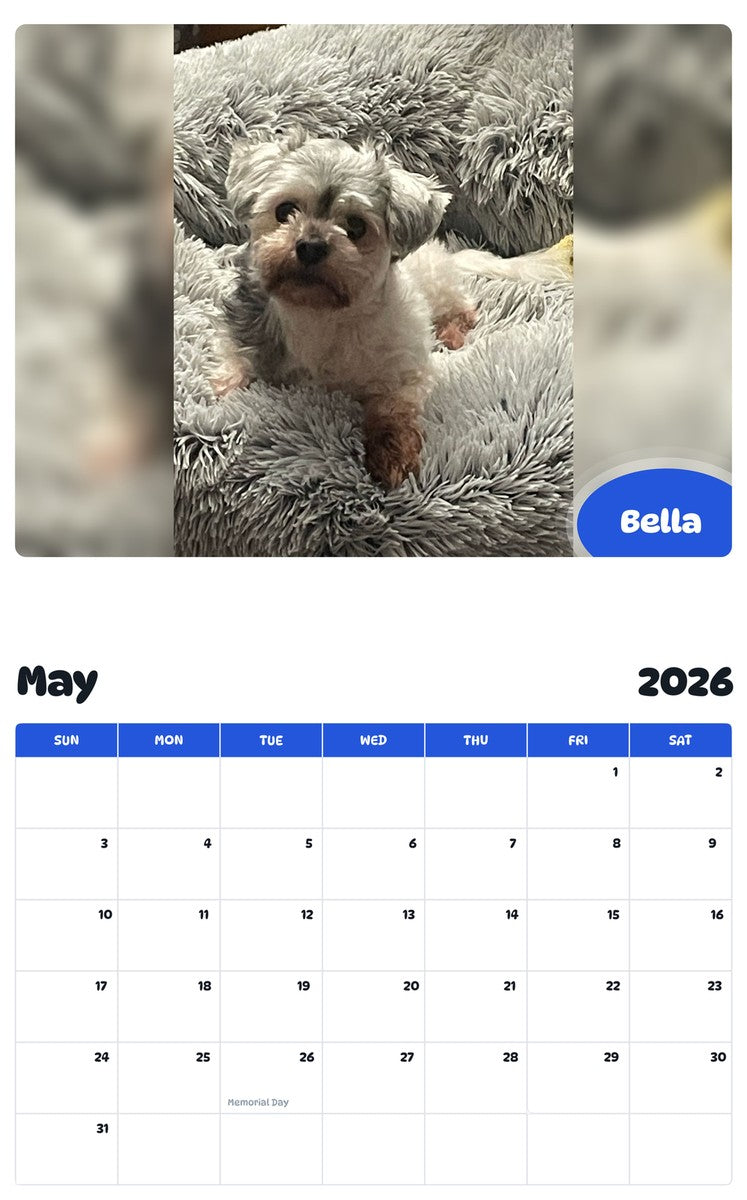 2026 - 2027 Bella - Pawidols Pet Calendar