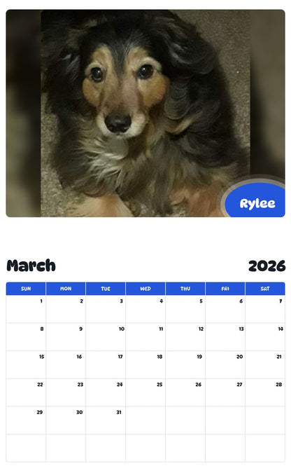 November 2025 - October 2026 Rylee - Pawidols Pet Calendar