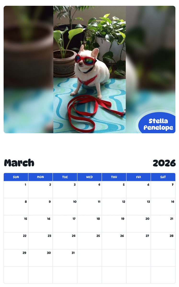November 2025 - October 2026 Stella Penelope - Pawidols Pet Calendar