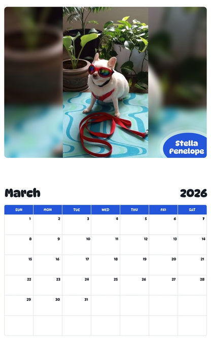November 2025 - October 2026 Stella Penelope - Pawidols Pet Calendar