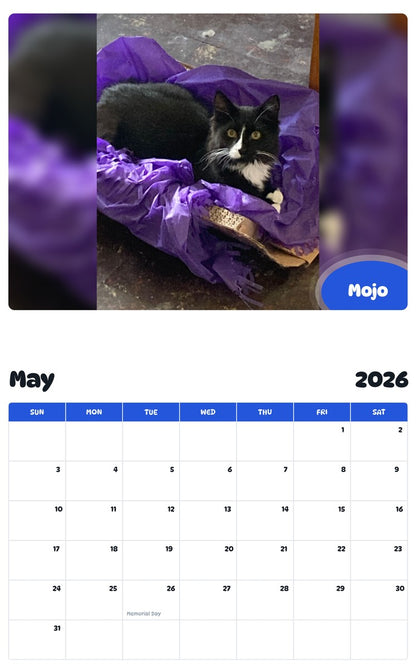 2026 - 2027 Mojo - Pawidols Pet Calendar
