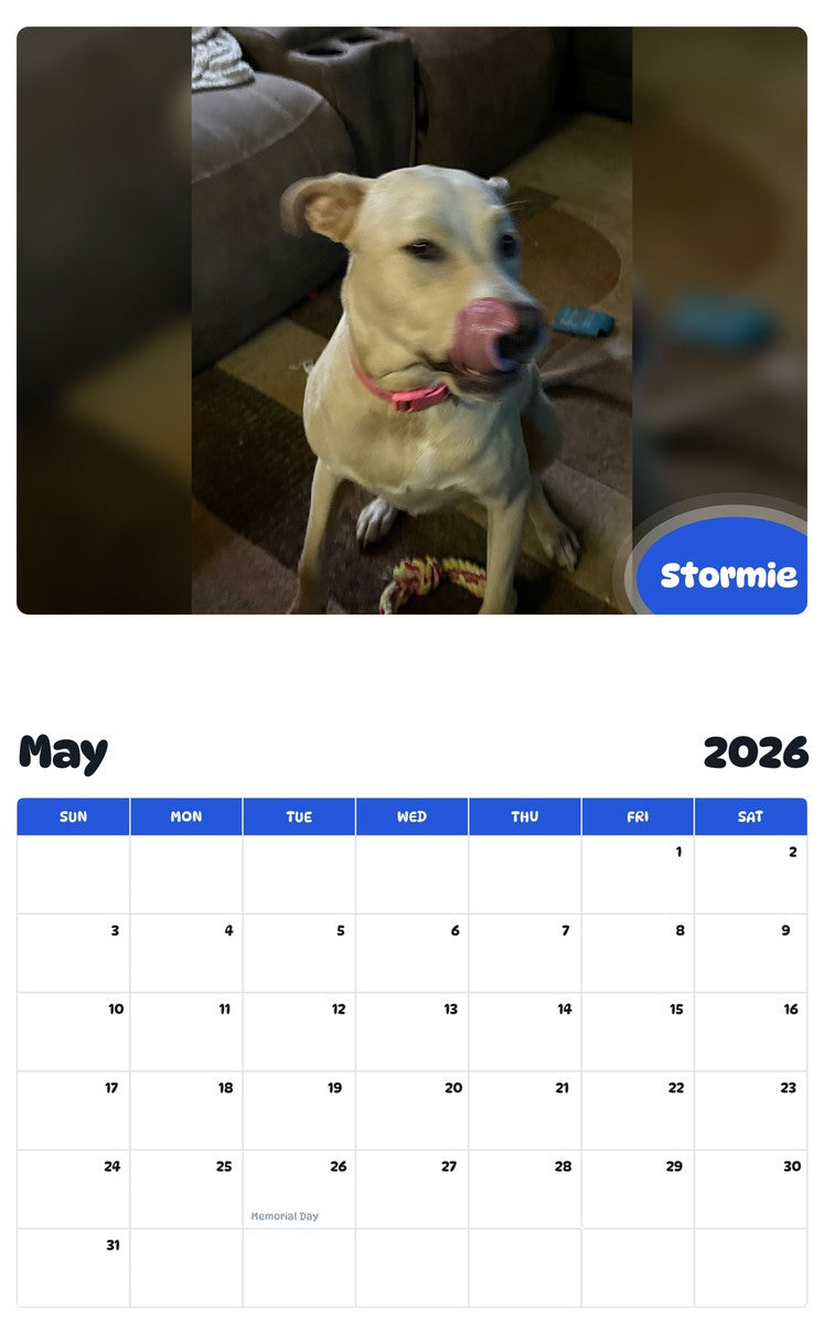 2026 - 2027 Stormie - Pawidols Pet Calendar
