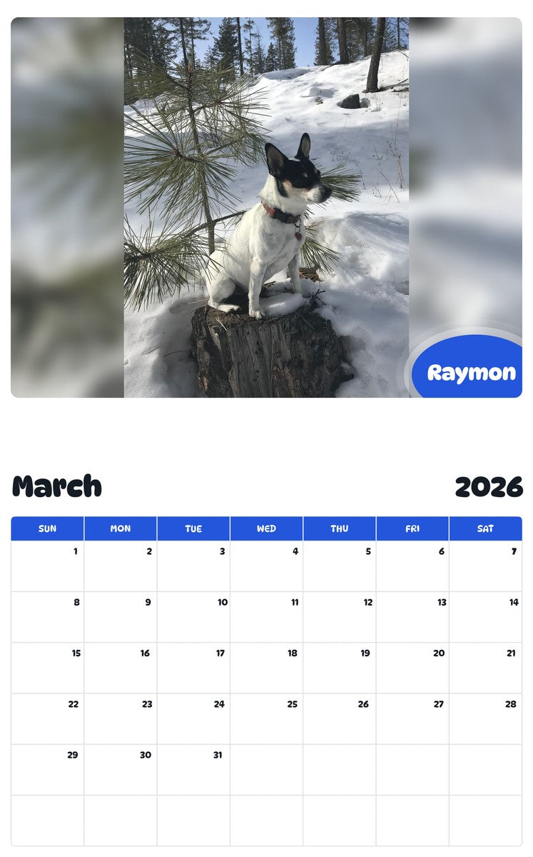 November 2025 - October 2026 Raymon - Pawidols Pet Calendar