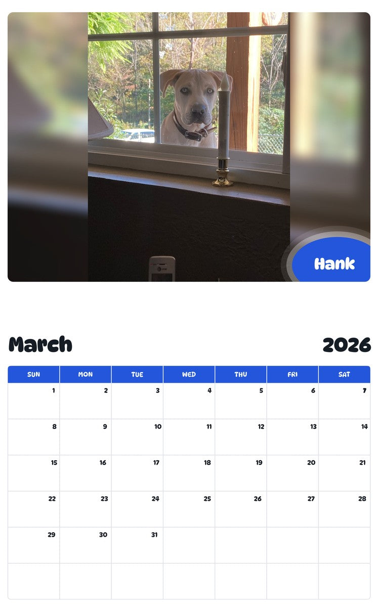 November 2025 - October 2026 Hank - Pawidols Pet Calendar