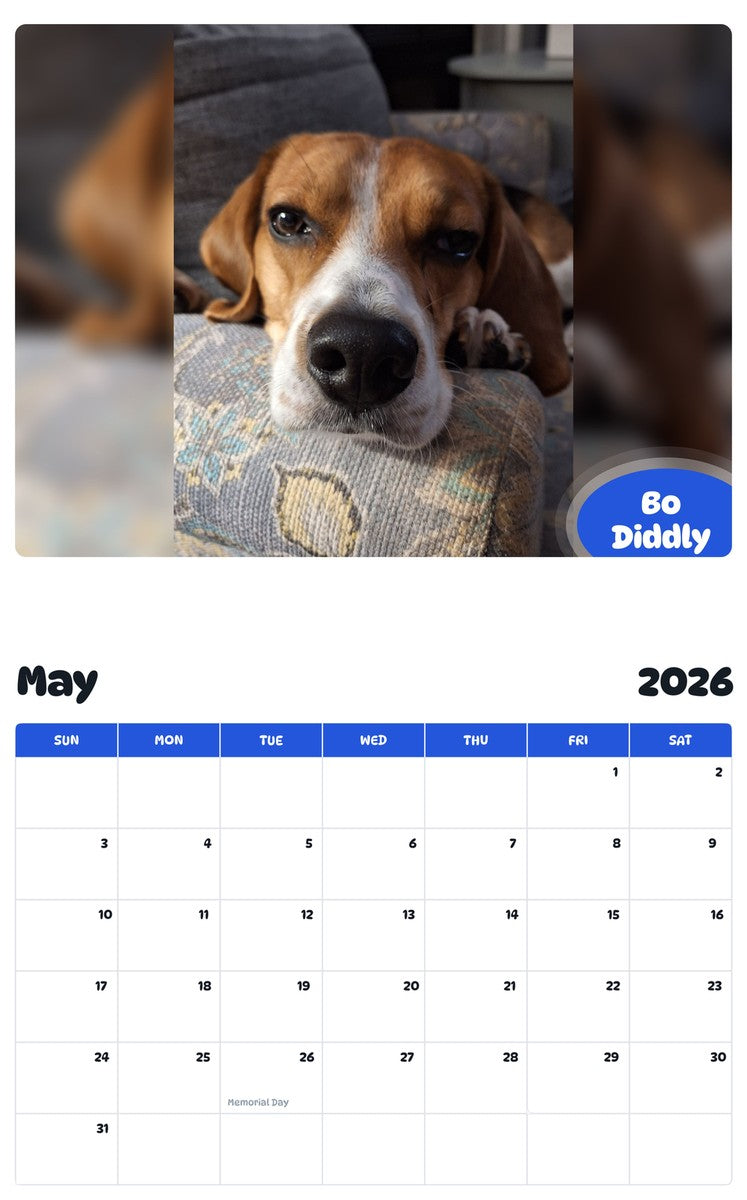2026 - 2027 Bo Diddly - Pawidols Pet Calendar