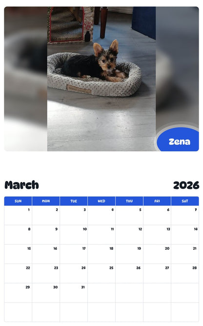 November 2025 - October 2026 Zena - Pawidols Pet Calendar