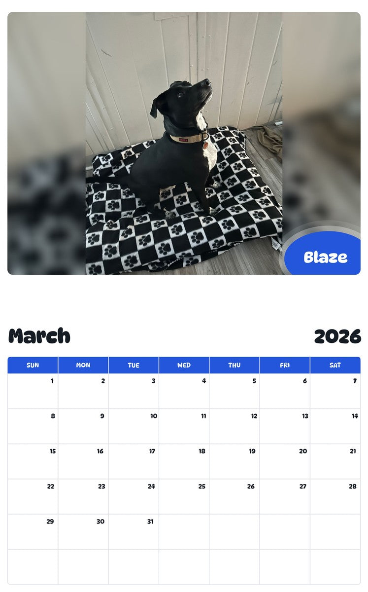 November 2025 - October 2026 Blaze - Pawidols Pet Calendar