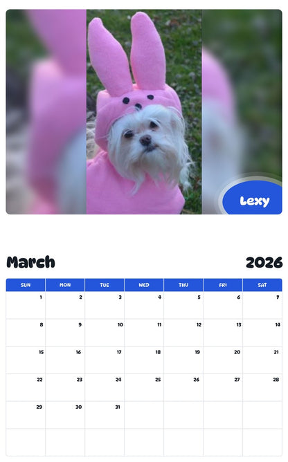 November 2025 - October 2026 Lexy - Pawidols Pet Calendar