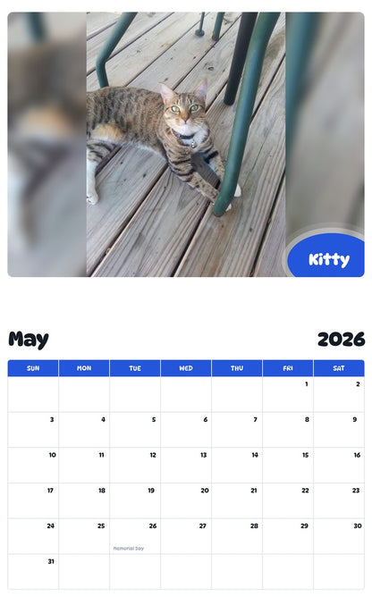 2026 - 2027 Kitty - Pawidols Pet Calendar