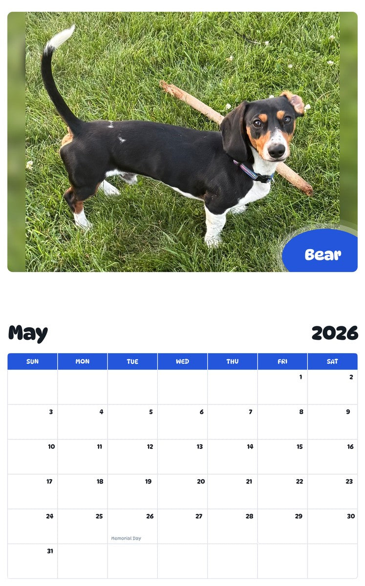 2026 - 2027 Bear - Pawidols Pet Calendar
