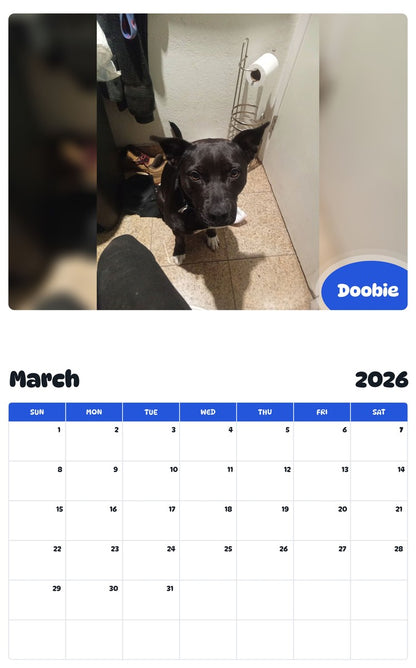 November 2025 - October 2026 Doobie - Pawidols Pet Calendar