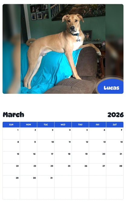 November 2025 - October 2026 Lucas - Pawidols Pet Calendar