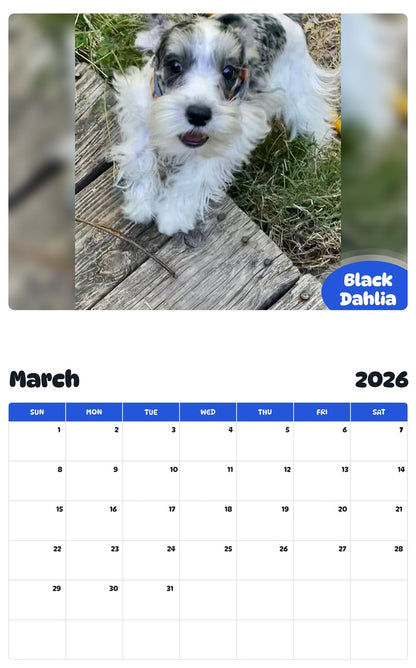 November 2025 - October 2026 Black Dahlia - Pawidols Pet Calendar