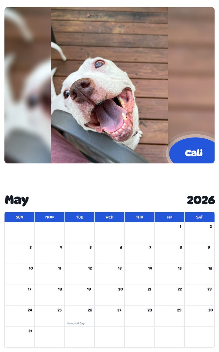 2026 - 2027 Cali - Pawidols Pet Calendar