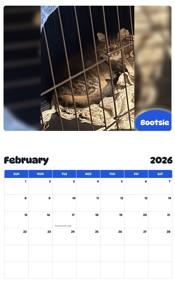 October 2025 - September 2026 Bootsie - Pawidols Pet Calendar