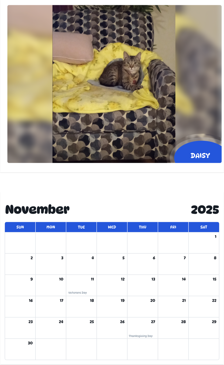 July 2025 - June 2026 Daisy - Pawidols Pet Calendar