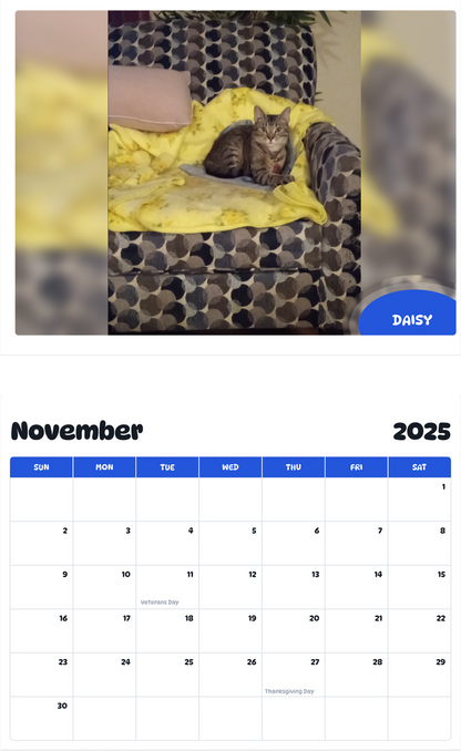 July 2025 - June 2026 Daisy - Pawidols Pet Calendar