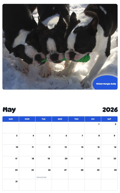 2026 - 2027 Vivian Vergie Sully - Pawidols Pet Calendar