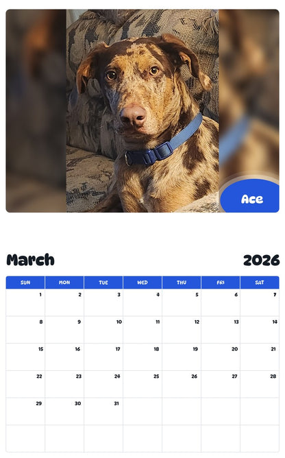 November 2025 - October 2026 Ace - Pawidols Pet Calendar