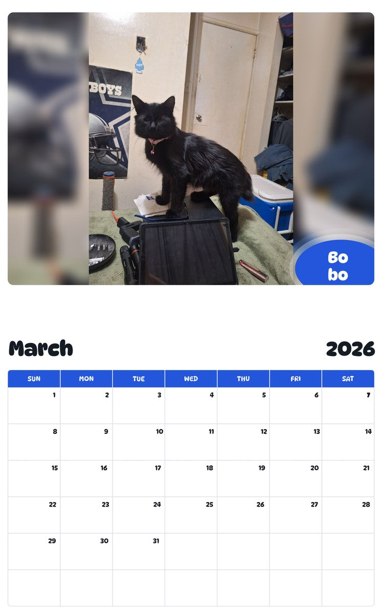 November 2025 - October 2026 Bo bo - Pawidols Pet Calendar