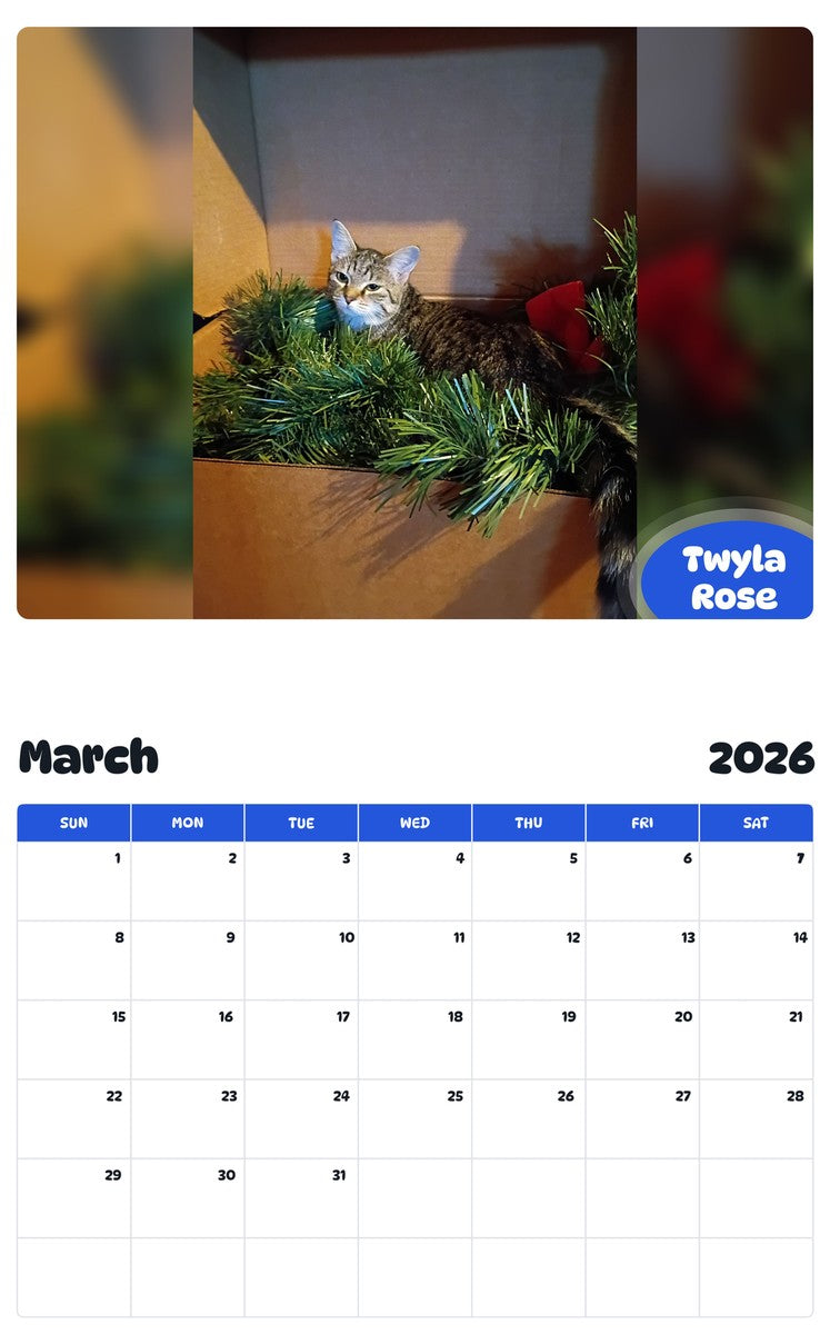 November 2025 - October 2026 Twyla Rose - Pawidols Pet Calendar