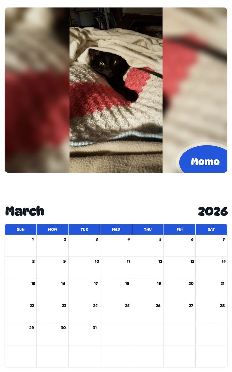 November 2025 - October 2026 Momo - Pawidols Pet Calendar