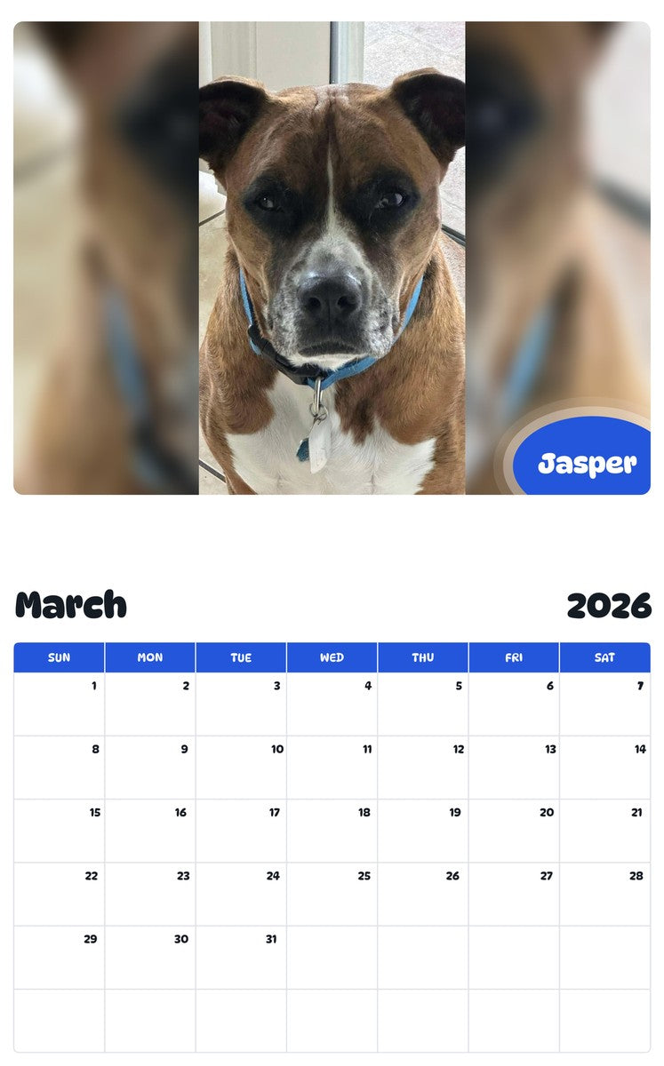 November 2025 - October 2026 Jasper - Pawidols Pet Calendar