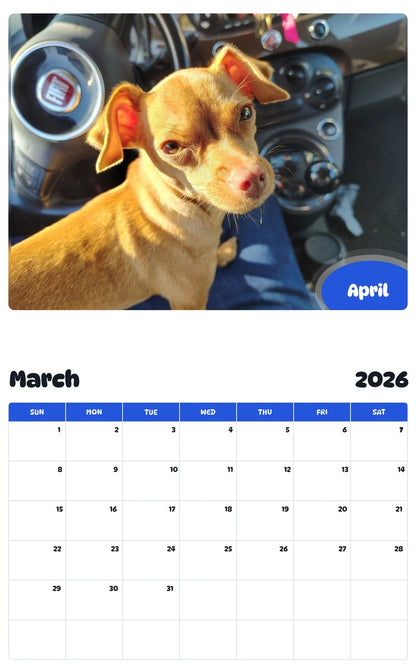 November 2025 - October 2026 April - Pawidols Pet Calendar