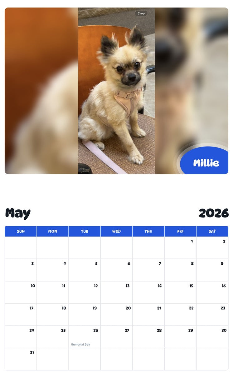 2026 - 2027 Millie - Pawidols Pet Calendar