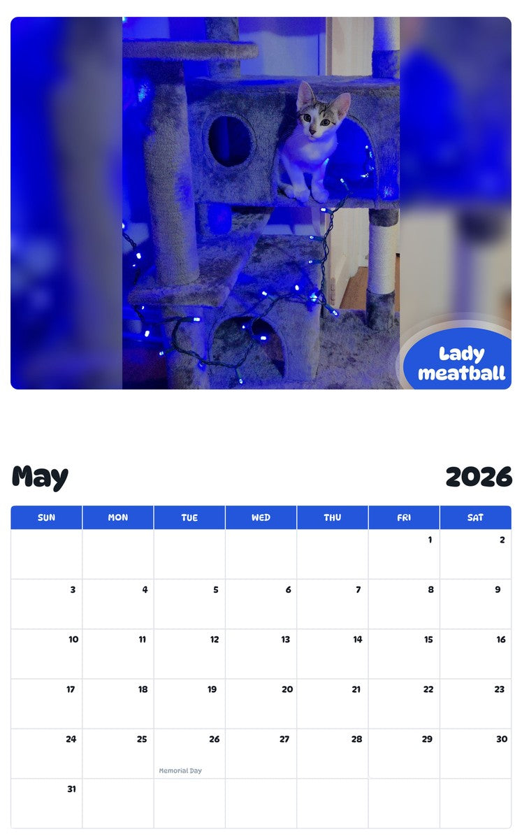 2026 - 2027 Lady meatball - Pawidols Pet Calendar