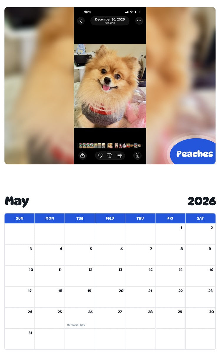 2026 - 2027 Peaches - Pawidols Pet Calendar