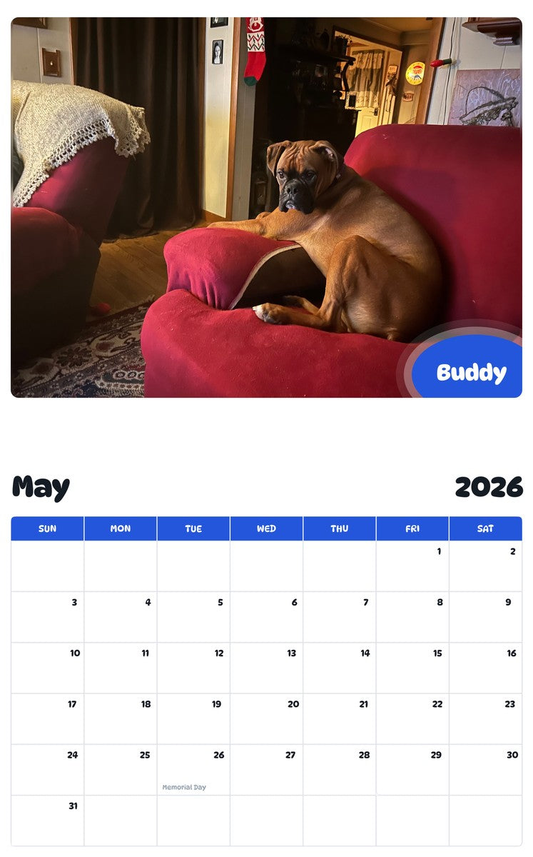 2026 - 2027 Buddy - Pawidols Pet Calendar