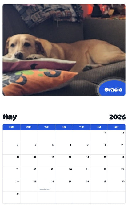 2026 - 2027 Gracie - Pawidols Pet Calendar