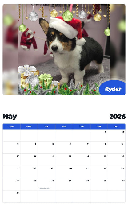 2026 - 2027 Ryder - Pawidols Pet Calendar