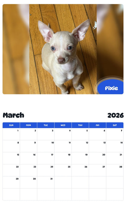 November 2025 - October 2026 Pixie - Pawidols Pet Calendar