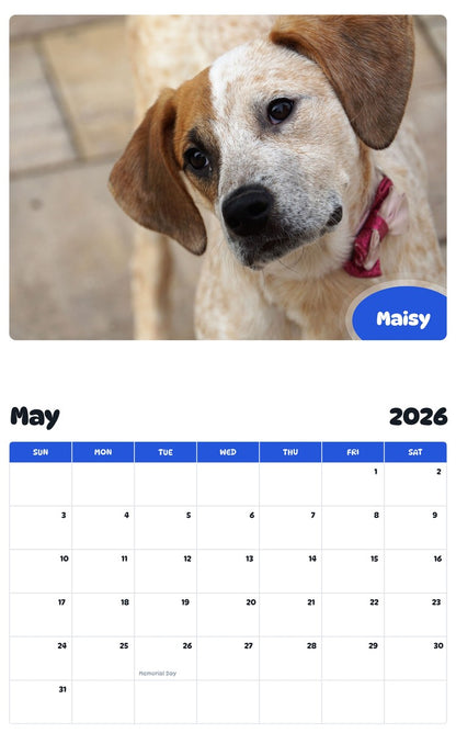 2026 - 2027 Maisy - Pawidols Pet Calendar