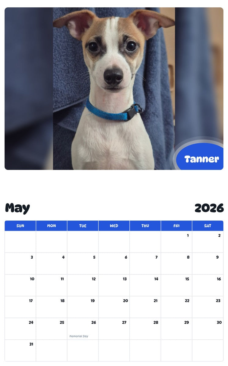2026 - 2027 Tanner - Pawidols Pet Calendar