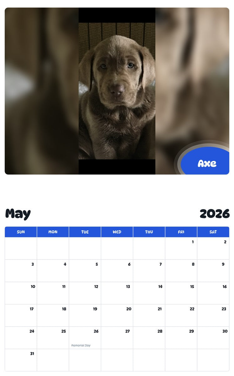 2026 - 2027 Axe - Pawidols Pet Calendar