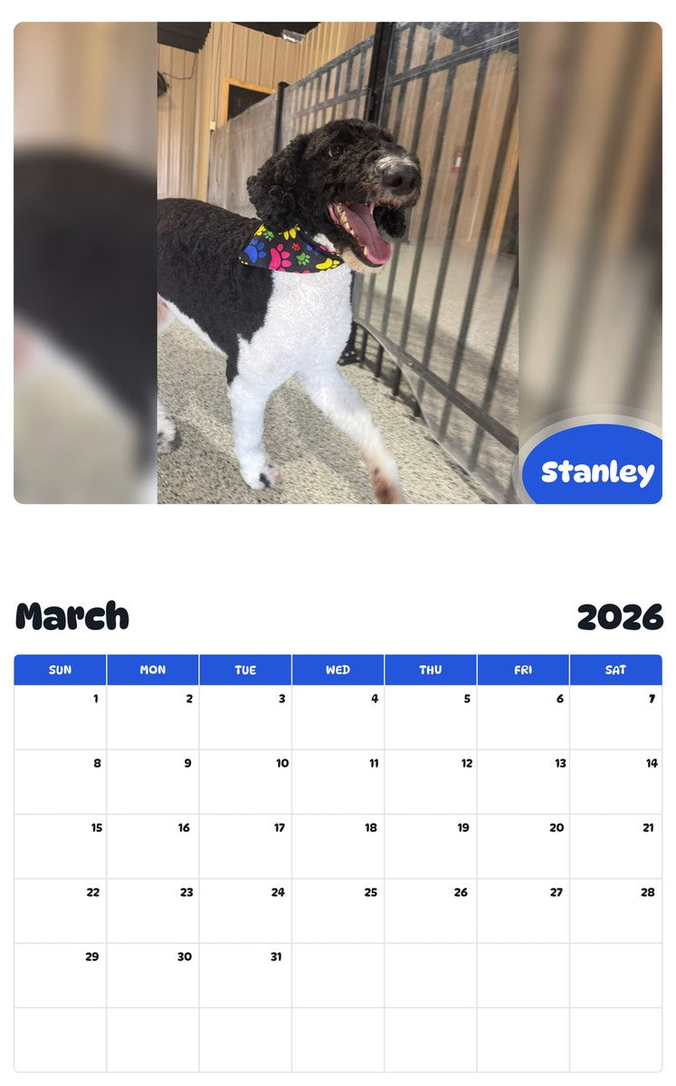 November 2025 - October 2026 Stanley - Pawidols Pet Calendar