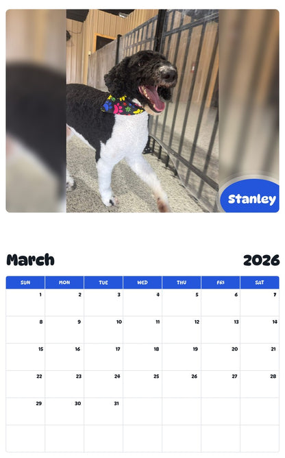 November 2025 - October 2026 Stanley - Pawidols Pet Calendar