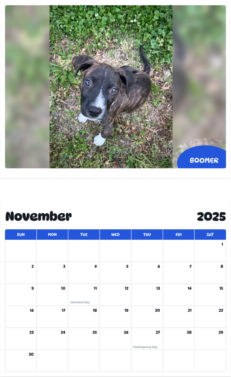 July 2025 - June 2026 Boomer - Pawidols Pet Calendar