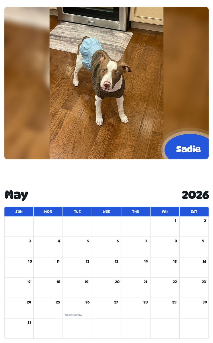 2026 - 2027 Sadie - Pawidols Pet Calendar