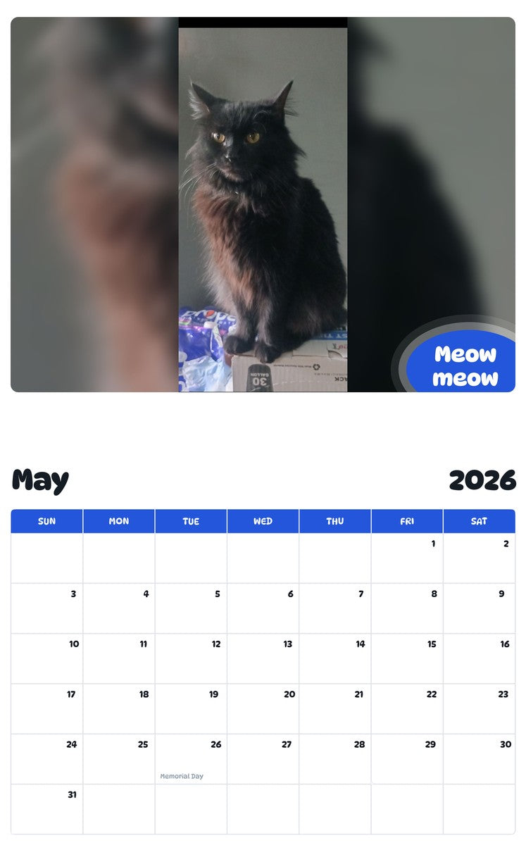 2026 - 2027 Meow meow - Pawidols Pet Calendar